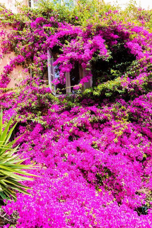 Orti 27 Garden Rome Trastevere - Rome Vacation M&D المظهر الخارجي الصورة